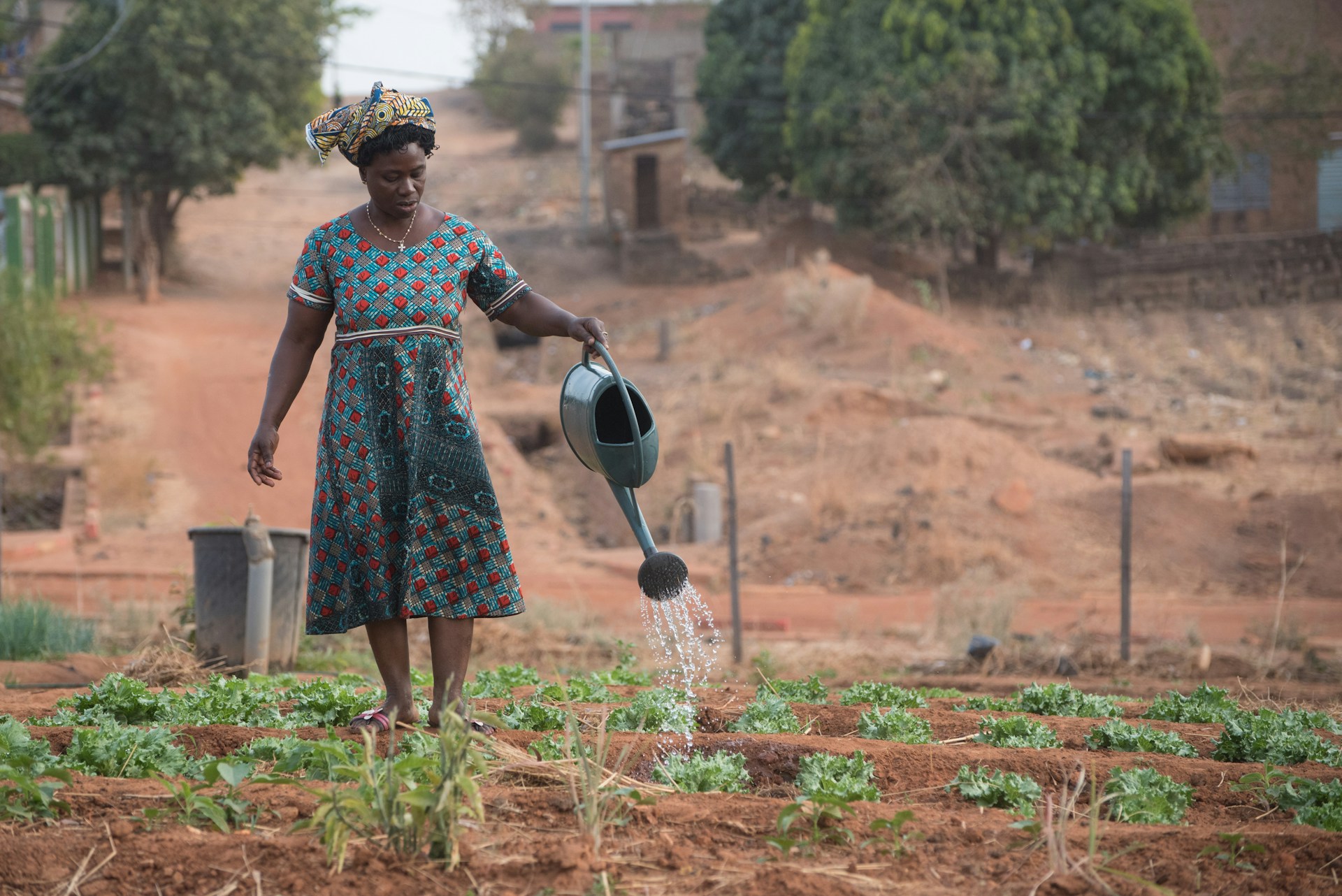 Agriculture & Food Security